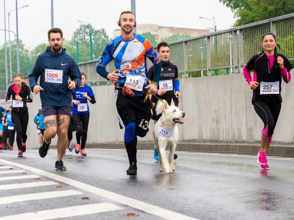 Marathon de Paris : Le guide ultime des supporters pour voir son runner partout (sans courir un mètre)